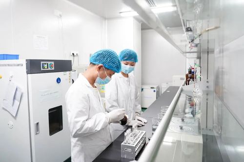 專注醫(yī)療科技前沿，廈門海滄這家企業(yè)如何深耕微創(chuàng)耗材與網(wǎng)絡(luò)信息技術(shù)研發(fā)